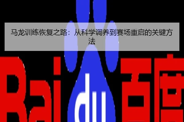 马龙训练恢复之路：从科学调养到赛场重启的关键方法