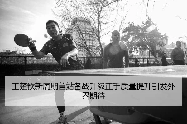 王楚钦新周期首站备战升级正手质量提升引发外界期待